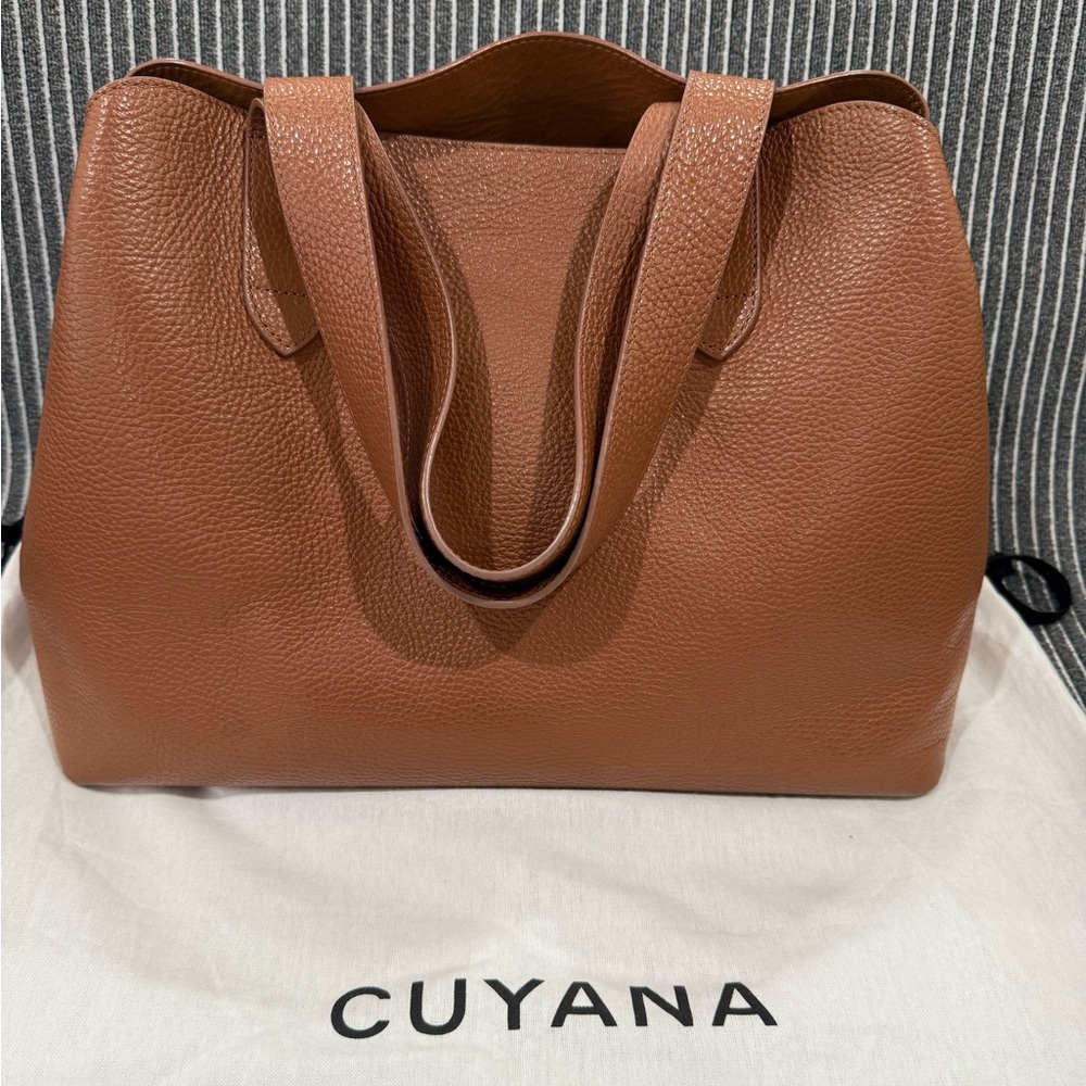 Cuyana Zippered Satchel